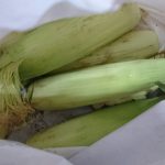 お野菜🌽