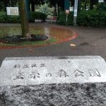 雨の蚕糸の森公園