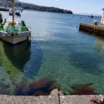 沼津旅～二日目～